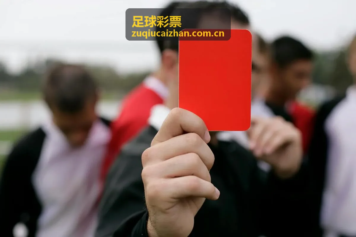 足球彩票数据分析工具升级